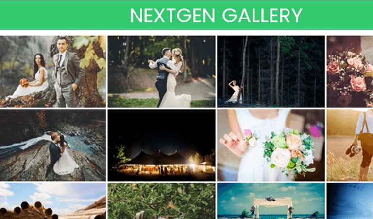 Best WordPress plugins - NextGEN Gallery