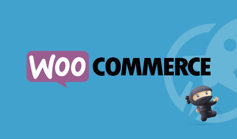 Best WordPress plugins - WooCommerce