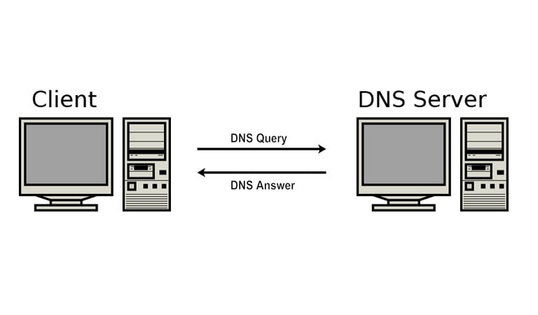 What is DNS - The Query