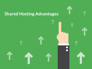 advantages of shared web hosting