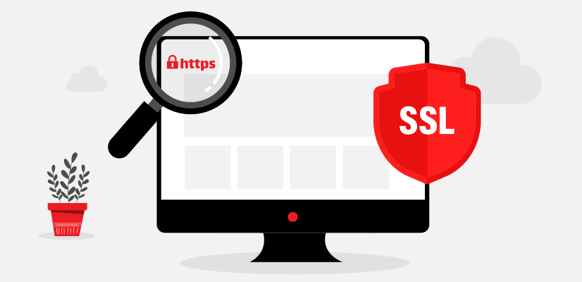 What Is an SSL Certificate? Types of SSL