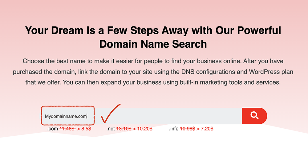 choose your domain name