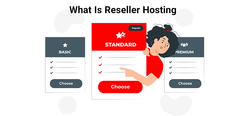 what is reseller hosting