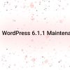 wordpress 6.1.1 maintenance and bug fixes