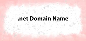 what does net domain name mean