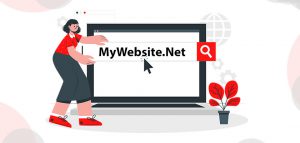 what is net domain name