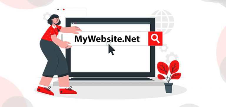 what is net domain name