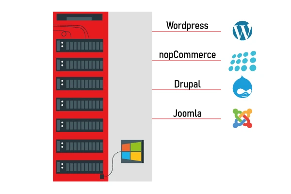 What CMS Our Windows Hosting Supports