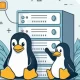 Linux vs Windows Hosting