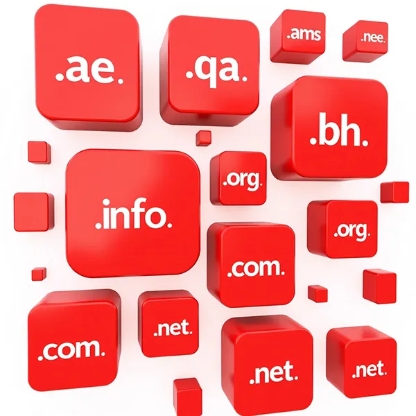 Understanding the Basics of Domain Extensions