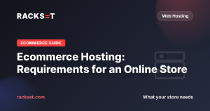 Ecommerce Hosting: Requirements for an Online Store